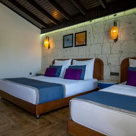 Risus Hotel 5*