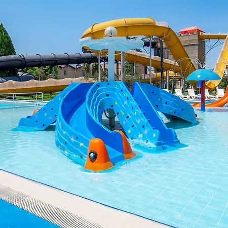 Risus Kusadası