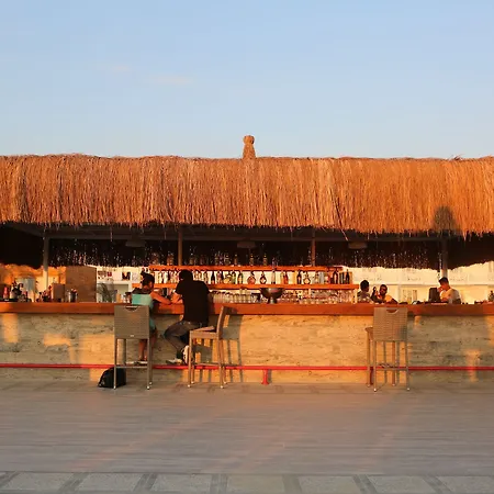 Risus Kusadası